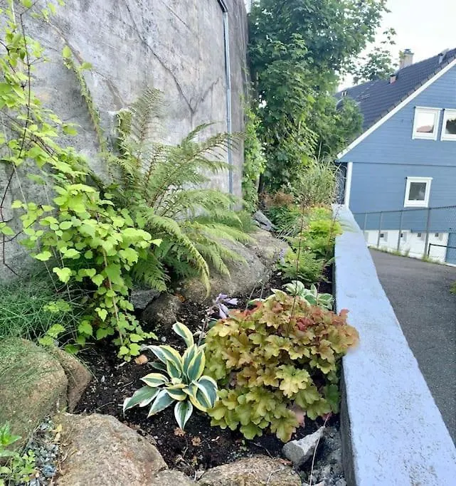 베르겐 Cosy House With Sunny Terrace, Garden And Fjord View 빌라